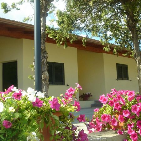 Hotel Samarcanda Civitavecchia Exterior foto
