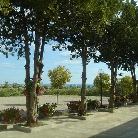 Hotel Samarcanda Civitavecchia Exterior foto