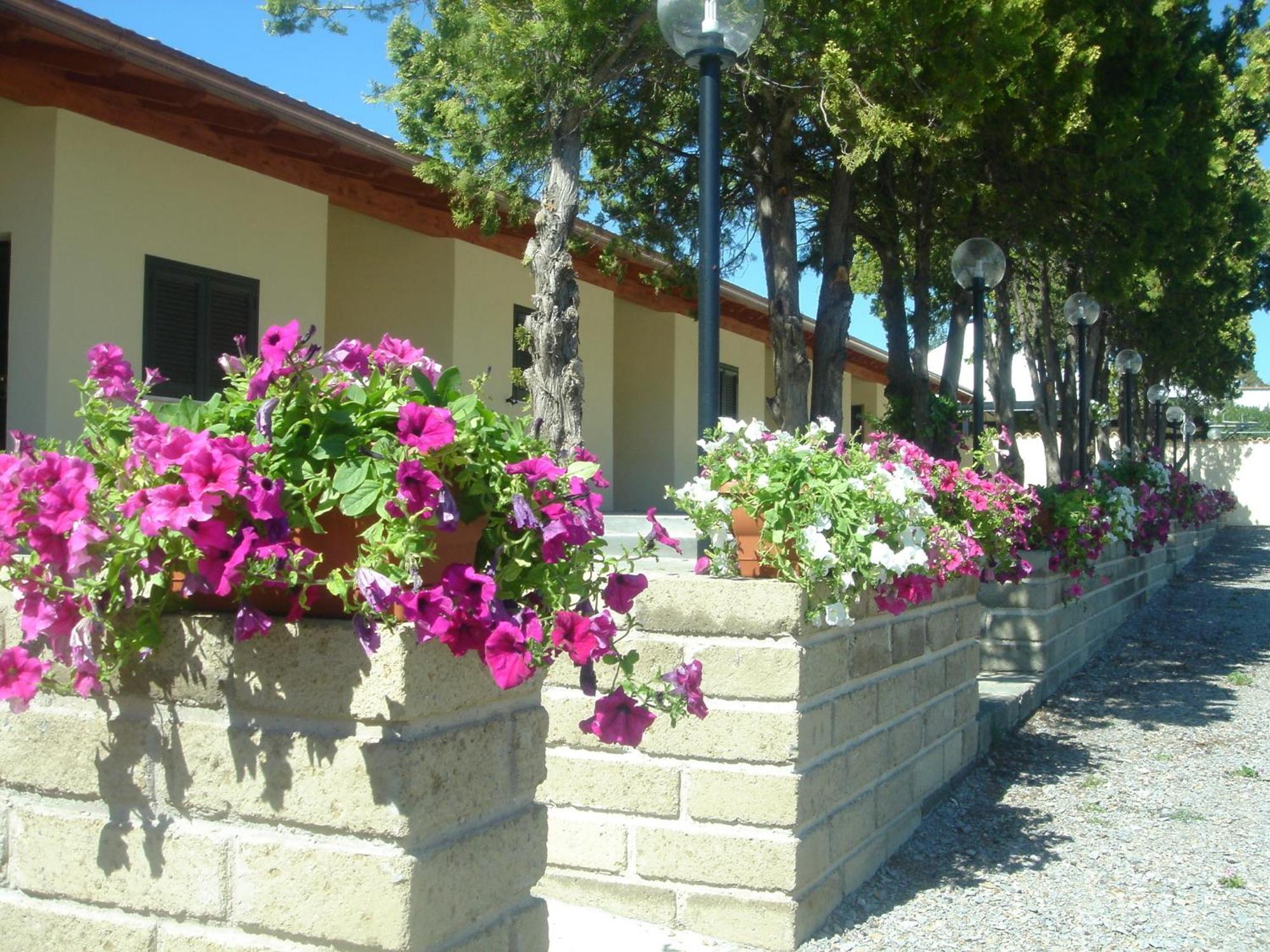 Hotel Samarcanda Civitavecchia Exterior foto